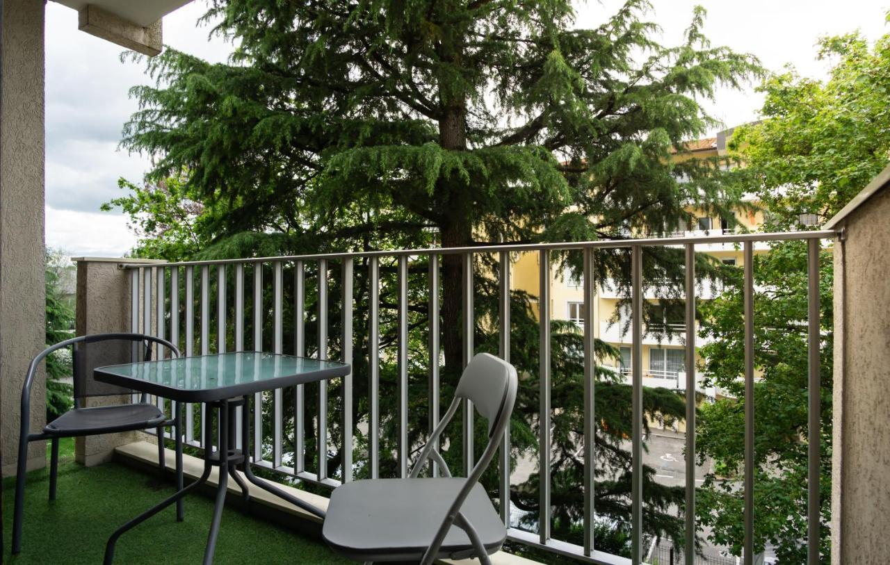 MeythetSaint-Paul Cosy Studio Avec Place De Parking Privee公寓 外观 照片